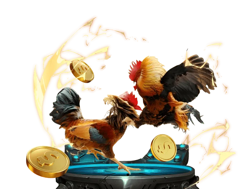 Hướng dẫn cá cược thể thao helo88 com